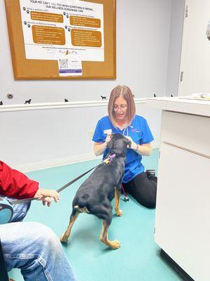 Spotsylvania Animal Hospital