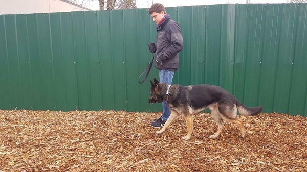 Andy Pascoe working with dogs at the animal shelter.