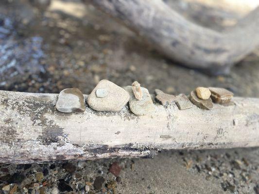 Rocks from the creek