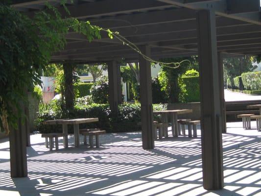 Vine covered pergola affords shade.