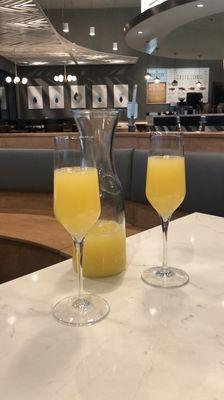 Mimosas