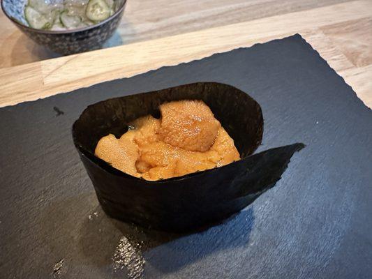 Uni - sea urchin