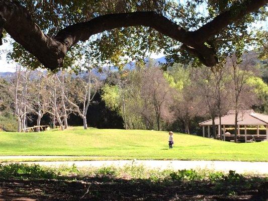 Nice trees offer shade and climbing structures for older kids.