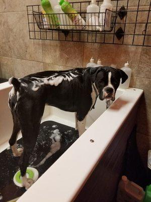 Titan bath time