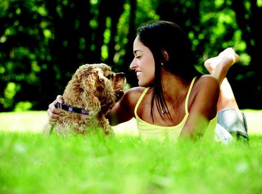 Our treatment is all-natural, safer for you, your family, pets and the environment.