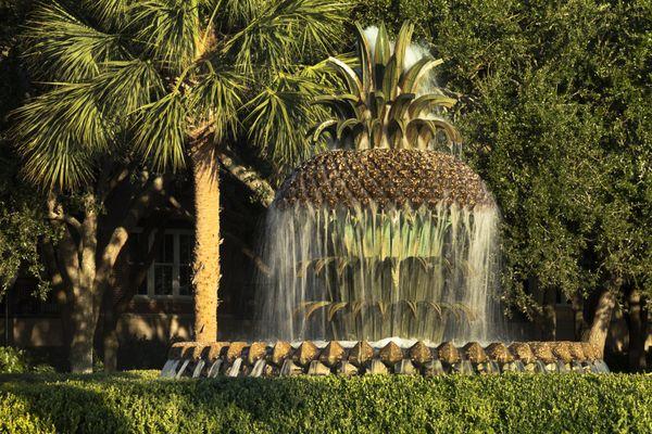 Pineapple Fountain