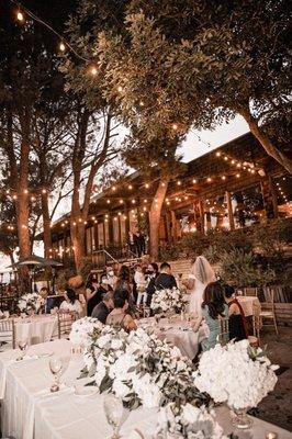 Outdoor wedding