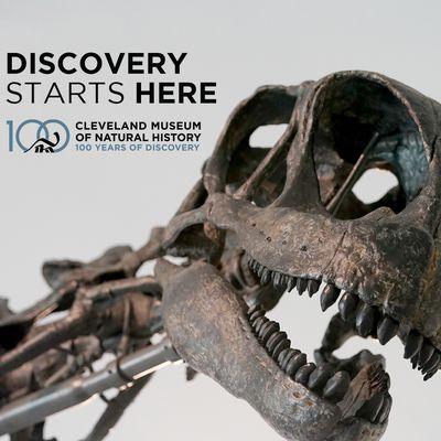 Discovery Starts at the Cleveland Museum of Natural History!