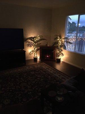 A nice electric fireplace makes the living room cozy