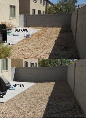 removed weeds from backyard