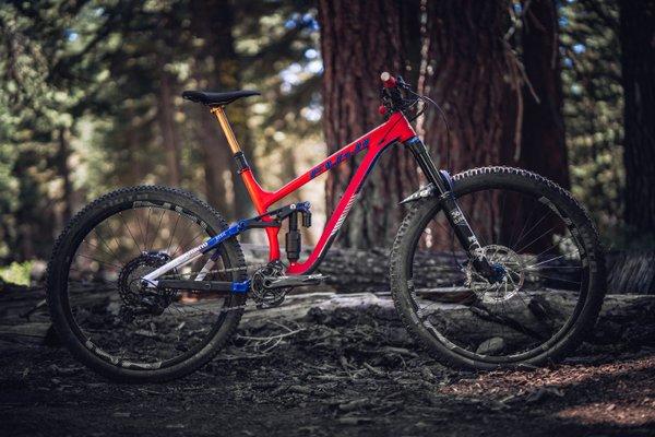 Enduro National Champion Amy Morrison's Fuji Auric