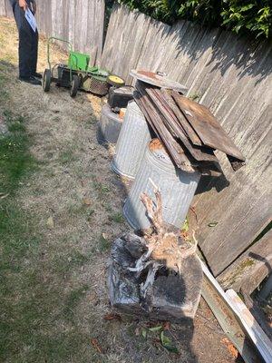 Old fence and wood chipper