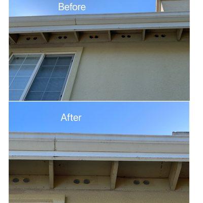 Soffits on the backside of my house that were tampered by squirrels.