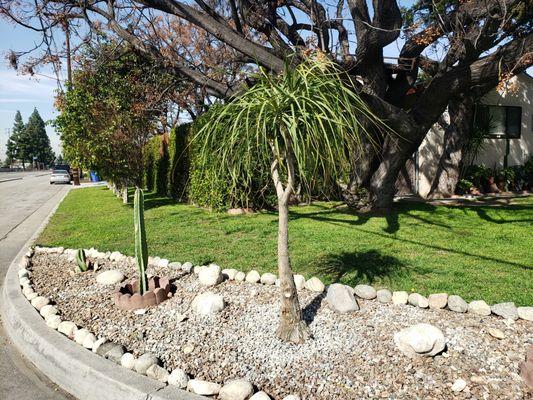 More landscaping with rocks will save water. Southeast Construction has the best prices around for crushed rocks.