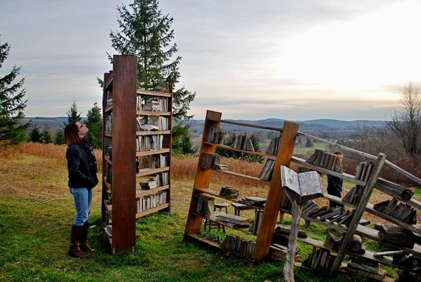 Browsing the outdoor library.