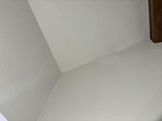 Living room wall to ceiling - streaky, did not complete first coat, did not apply second coat