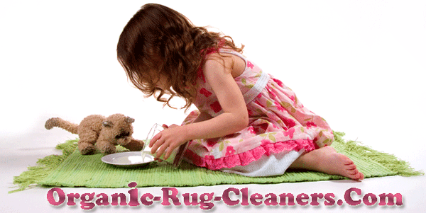 organic rug & carpet care in New York