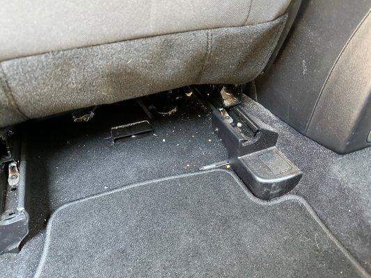 These are crumbs behind the driver seat.  I also found fries which I threw out.