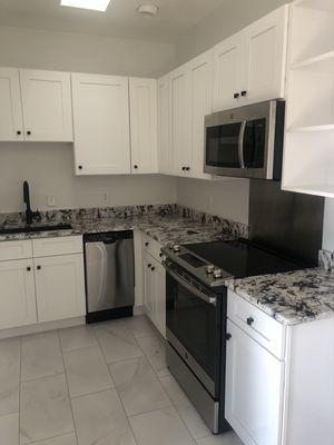 Renovated kitchen in DC