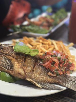 Mojarra