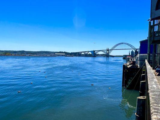 Views from one of the piers along the bay front and they allow fishing!