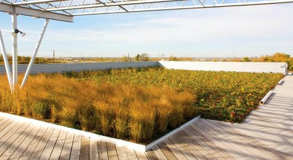 Green roof on Sebert Landscaping's Bartlett, IL corporate headquarters.