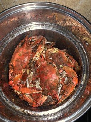 Blue Crabs being steamed with old bay!