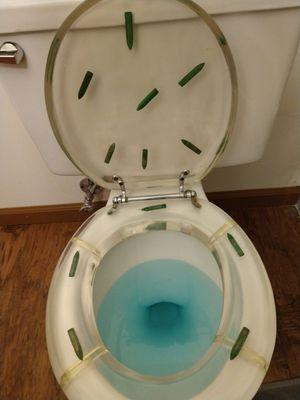 I cannot believe that no one has found this worth documenting. Ammunition encased in lucite for my toilet seat. I may never leave.