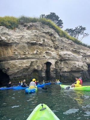 Kayak the La Jolla sea caves and ecological reserve with an expert guide