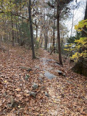 Mountain Bike trail.