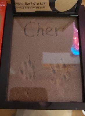 My ferret's pawprint impression, a lovely little memorial service provided by Last Kiss