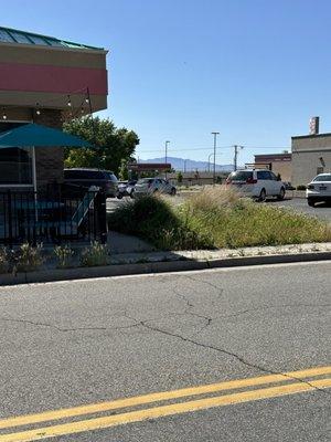 Store looks closed because the grass out front is 2 ft tall!