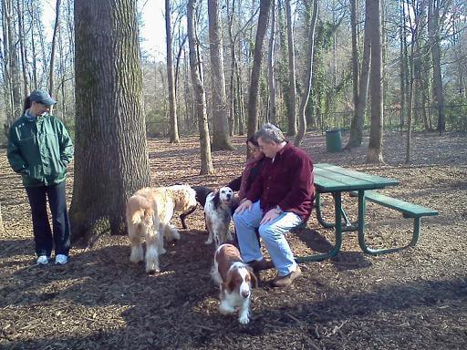 Off-leash Dog Park at Sweat Mountain, East Cobb