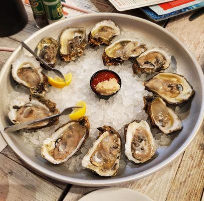 Oysters (5/5)