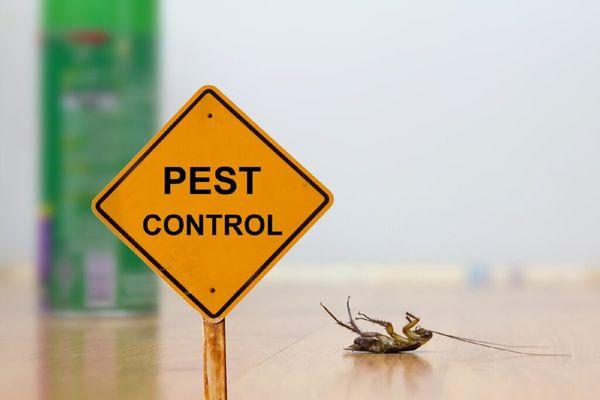 LGK Pest Control