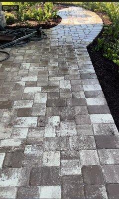 Paver walkway installed by Treasure Coast paverscape