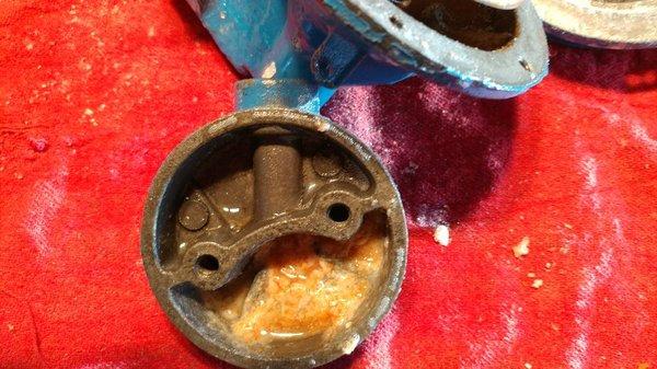 This is what happens to fuel pumps used with neglected fuel