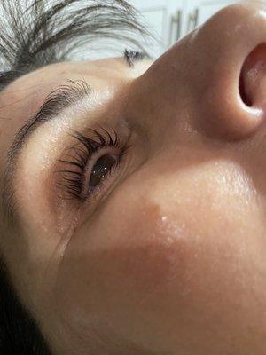 Lash Lifts using your natural lashes.