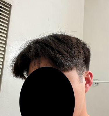 Pictures of terrible and uneven haircut. No layering or regard for top hair.