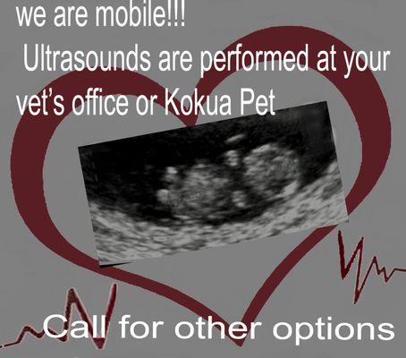 I cannot edit address in Yelp.  Ultrasounds are performed at your vet's office or at kokua pet, After hours, please call Keaka 808-389 2912