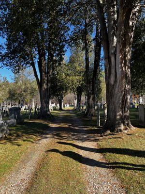 Beautiful tree lined path into historic cemetery