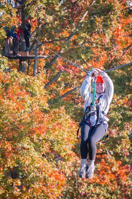 Fall Zipline!