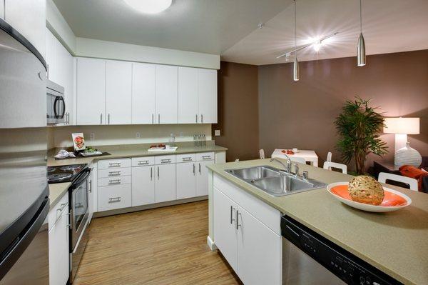 Kitchen with hardwood style vinyl flooring and stainless steel appliances.