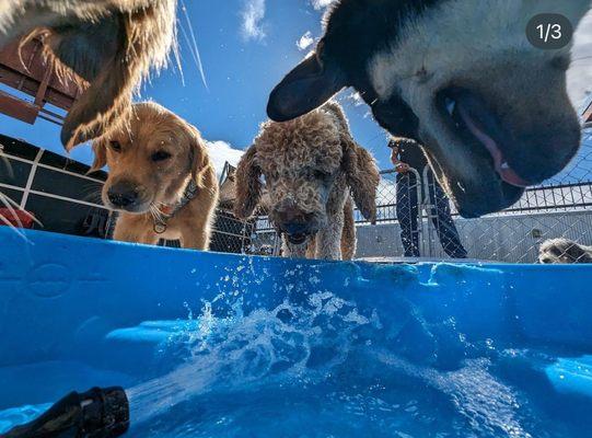 Play with water all day long in Summer