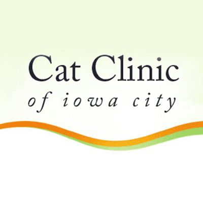 Dentistry, Internal Medicine, Surgery, Feline Wellness, Vaccination, Flea Treatment, Grooming