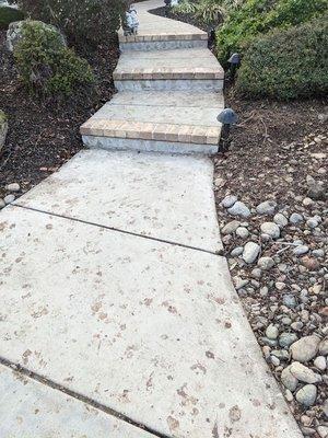 Stained Walkway (Stairs) LOOKS AWFUL!