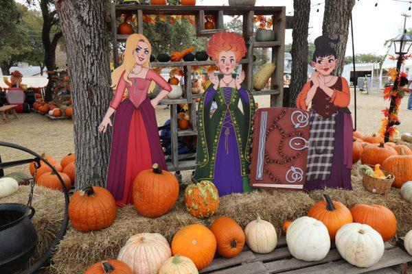 Universal City Pumpkin Patch