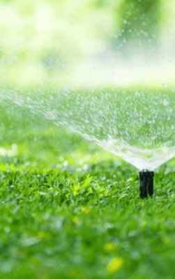 Lawn Irrigation