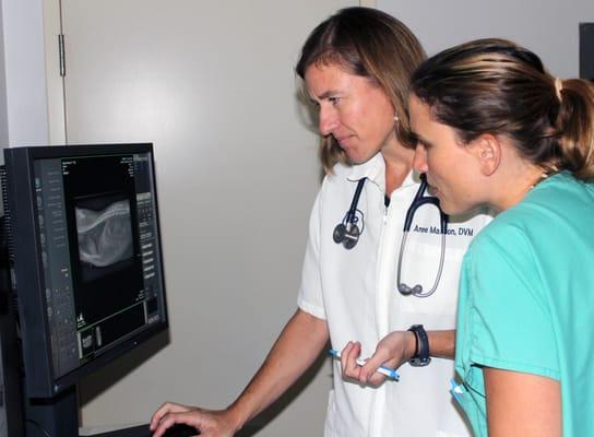 Dr. Maxon examines a pet x-ray