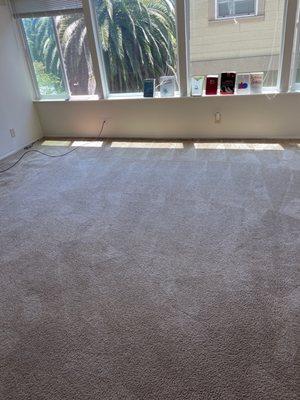 Amazing job on my carpet I'm still stunned.